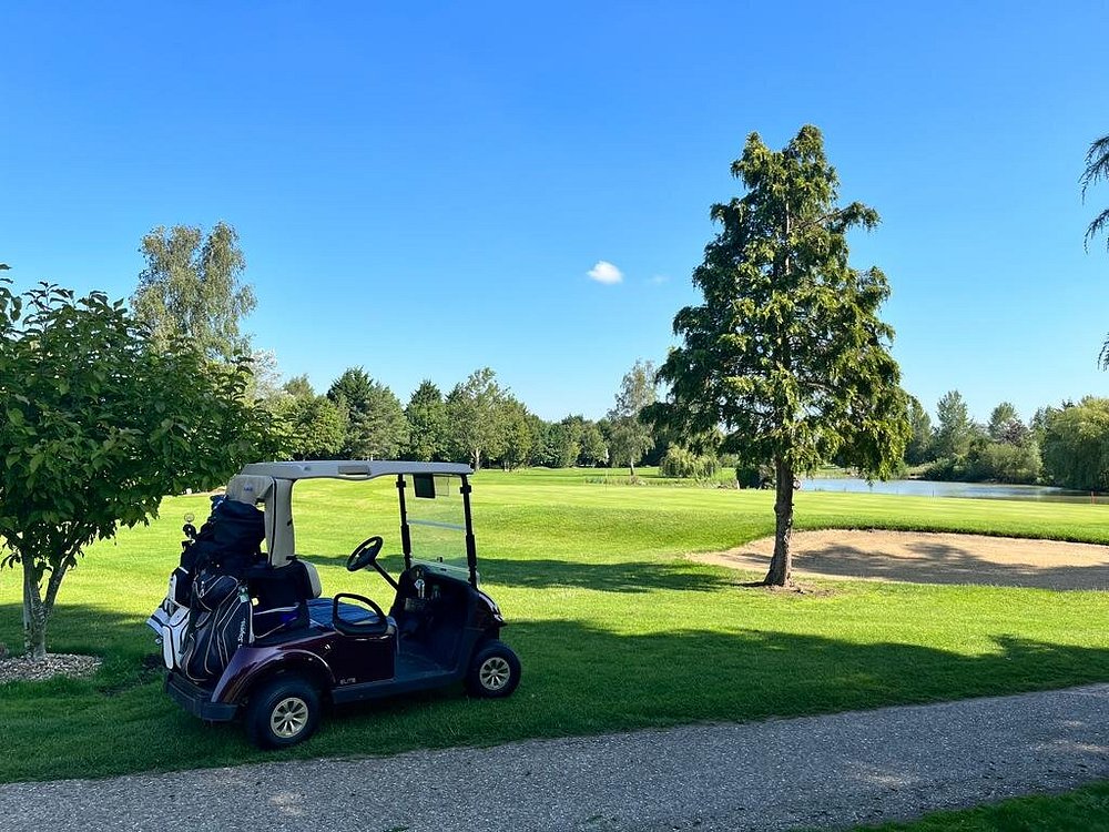 blue-skies-and-buggy